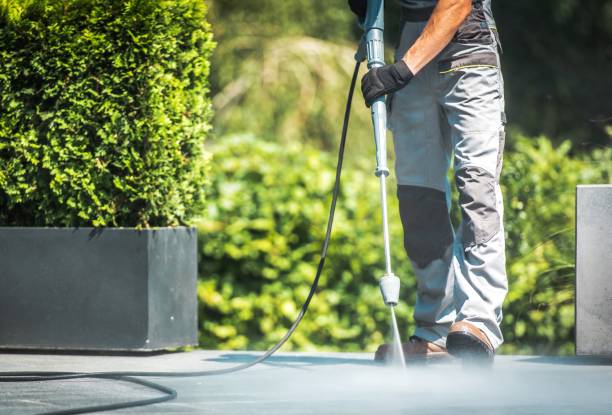 Best Sidewalk and Walkway Cleaning  in Postville, IA
